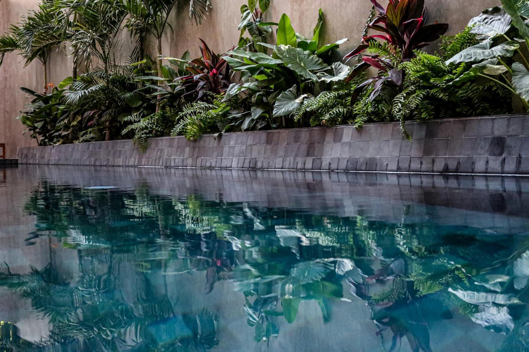 Casa Toro La Punta Ξενοδοχείο Brisas de Zicatela Εξωτερικό φωτογραφία